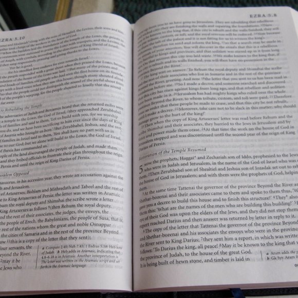 NRSV Holy Bible Catholic Edition Anglicized Text 2007 Harper Leather Touch HC - Picture 7 of 10